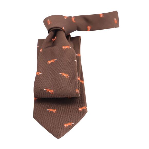 Ermenegildo Zegna Fox Tie in Brown Silk